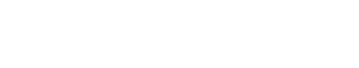 KinoSec